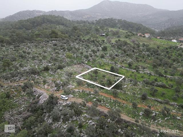 Dalaman, Muğla içerisinde satılık Arsa