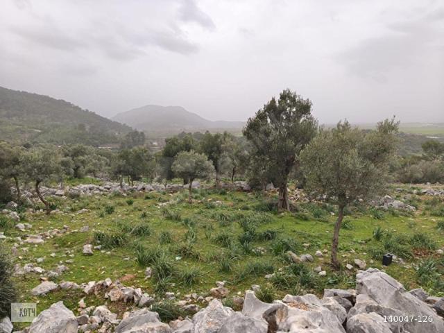 Dalaman, Muğla içerisinde satılık Arsa