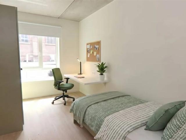 Appartement location à Courtrai, West-Vlaanderen