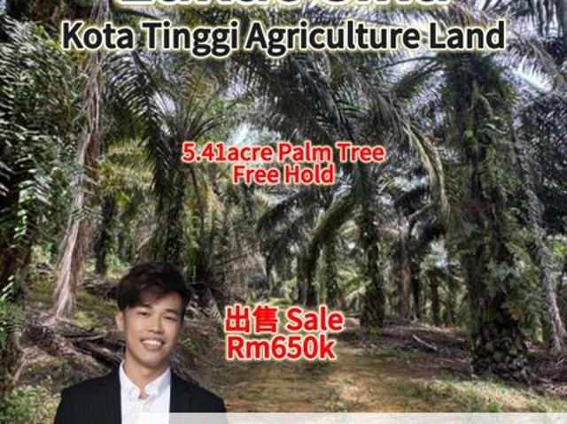Shop for sale in Kota Tinggi, Johor