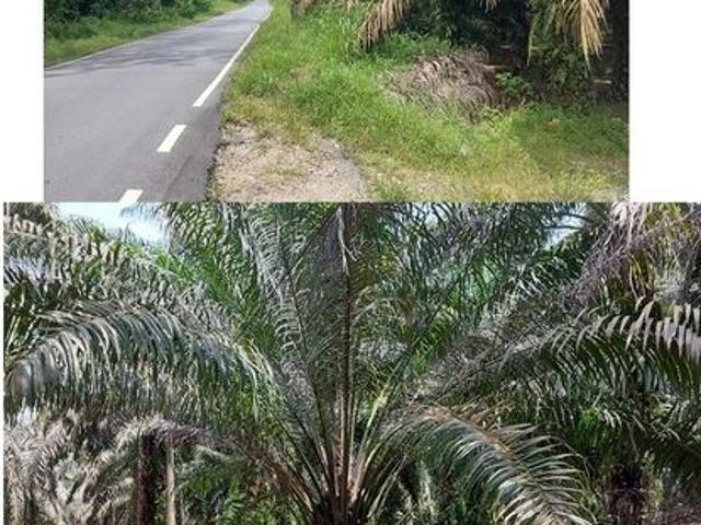 Shop for sale in Kota Tinggi, Johor