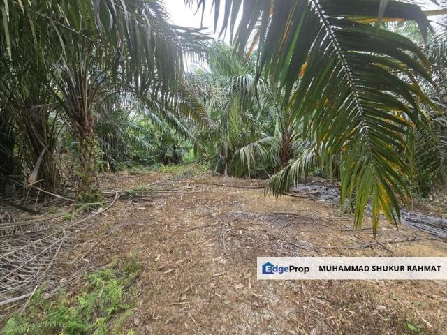 Shop for sale in Kota Tinggi, Johor