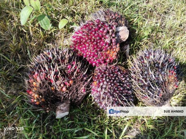 Shop for sale in Kota Tinggi, Johor