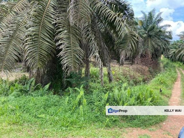 Shop for sale in Kota Tinggi, Johor