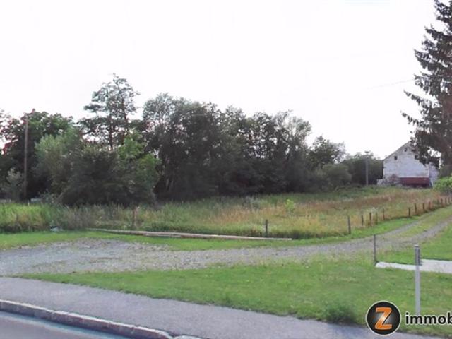 Grundstück kaufen in Mischendorf, Burgenland