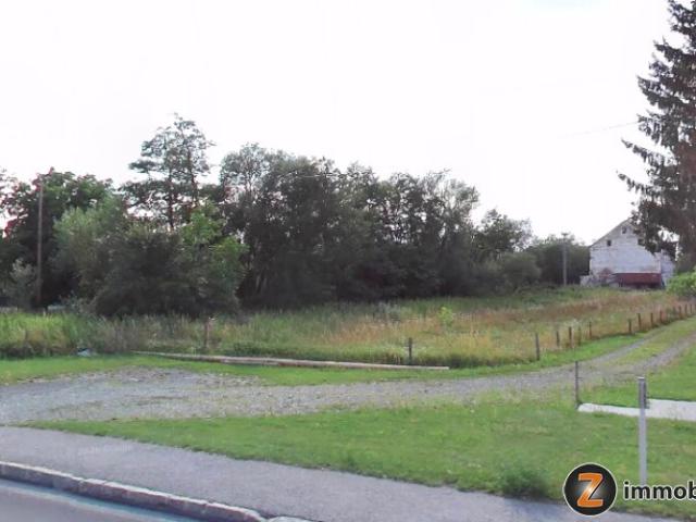 Grundstück kaufen in Mischendorf, Burgenland