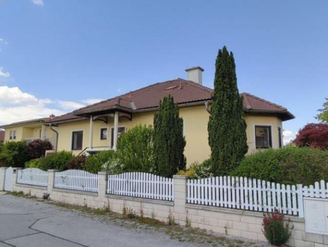 Haus kaufen in Kottingbrunn, Niederösterreich