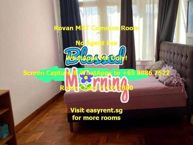 Room for rent in Hougang, 19 North East, Hougang