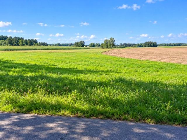 Grunt na sprzedaż w Orzesze, Śląskie
