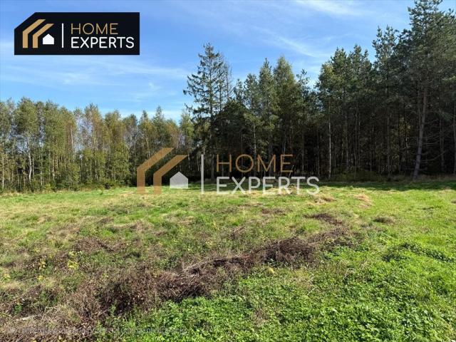 Grunt na sprzedaż w Kowalewo, Pomorskie