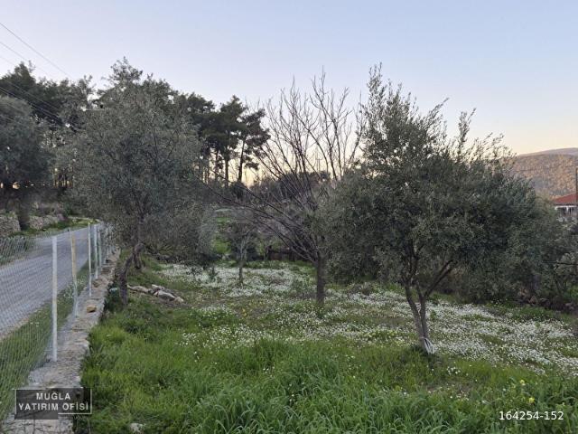 Milas, Muğla içerisinde satılık Arsa