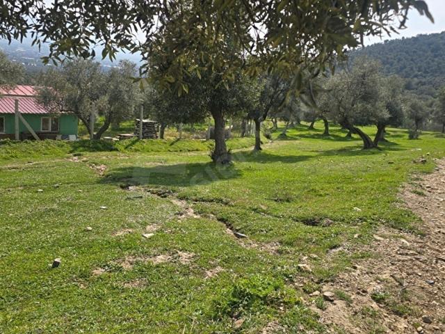 Bayindir, İzmir içerisinde satılık mülk