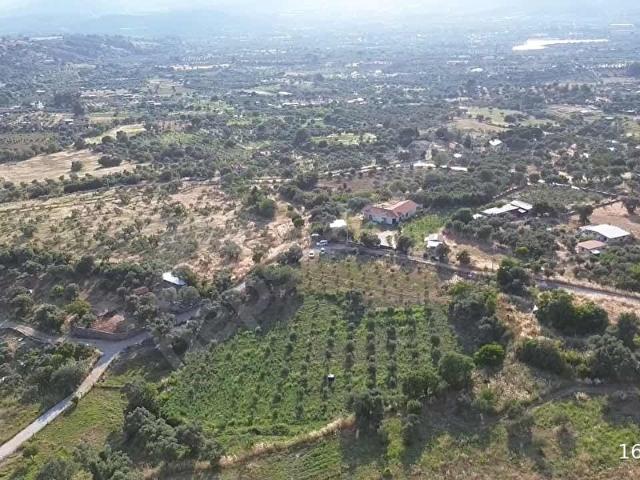 Kemalpaşa, İzmir içerisinde satılık mülk