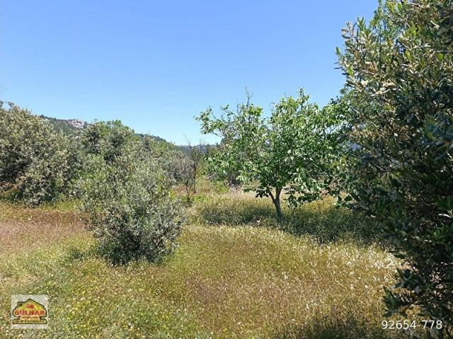 Gülnar, Mersin içerisinde satılık mülk