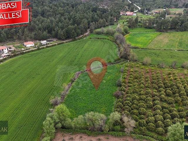 Köyceğiz, Muğla içerisinde satılık Arsa