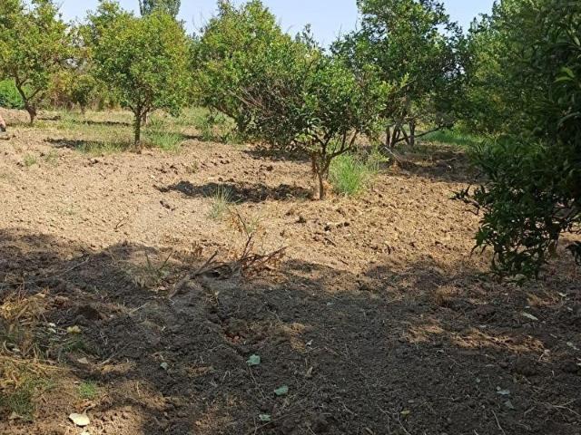 Köyceğiz, Muğla içerisinde satılık Arsa