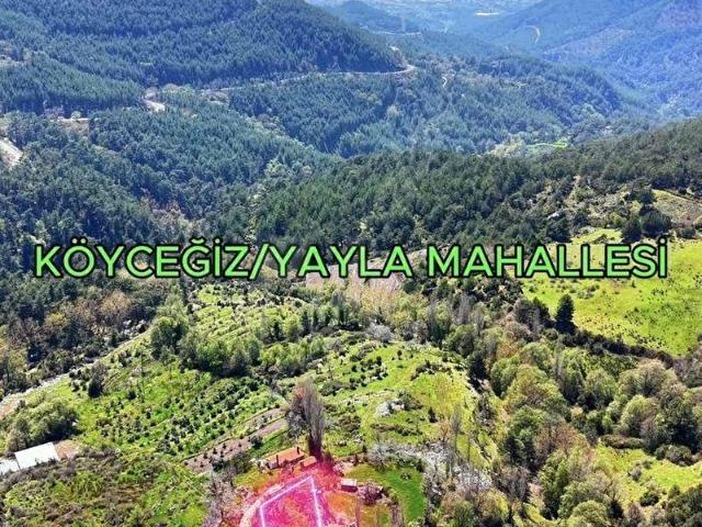 Köyceğiz, Muğla içerisinde satılık Arsa