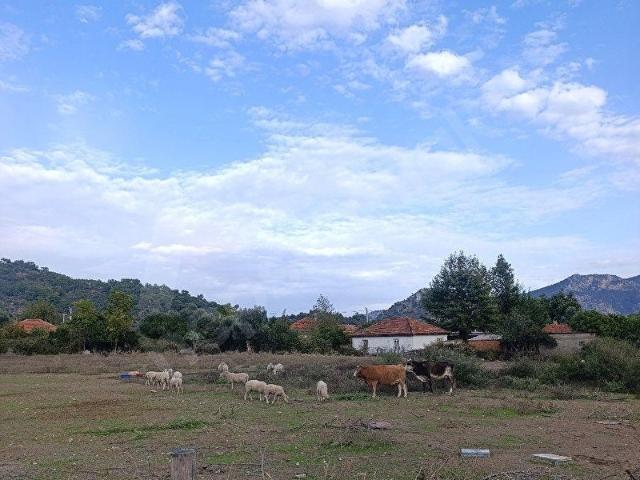 Köyceğiz, Muğla içerisinde satılık Arsa