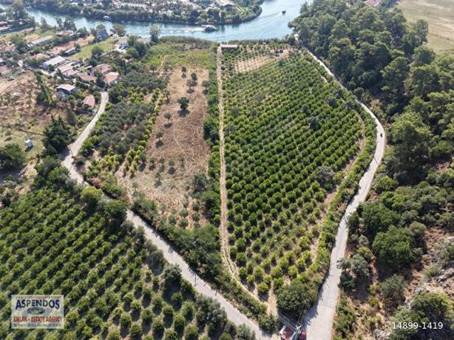 Köyceğiz, Muğla içerisinde satılık Arsa