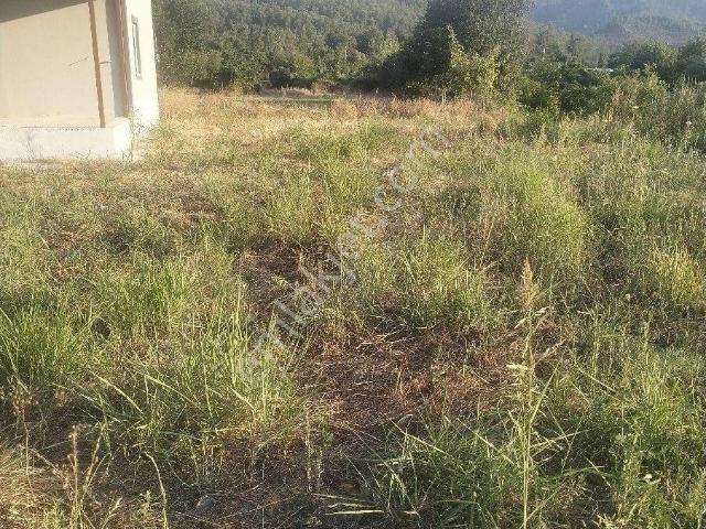 Köyceğiz, Muğla içerisinde satılık Villa