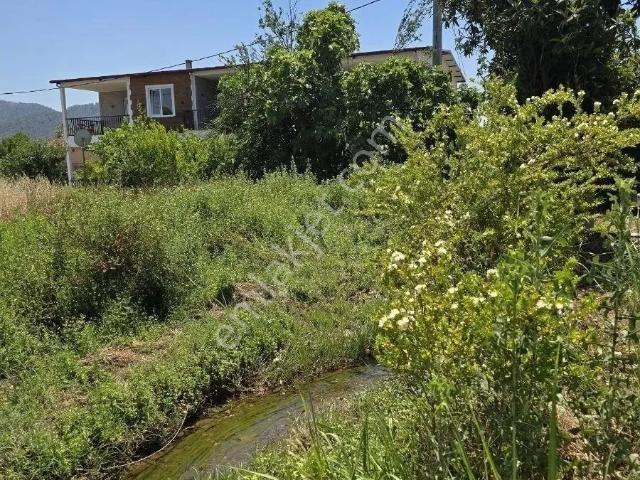 Köyceğiz, Muğla içerisinde kiralık mülk
