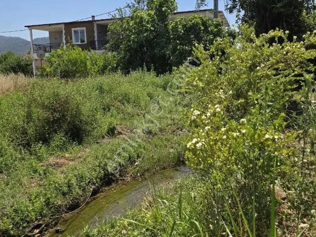 Köyceğiz, Muğla içerisinde kiralık mülk