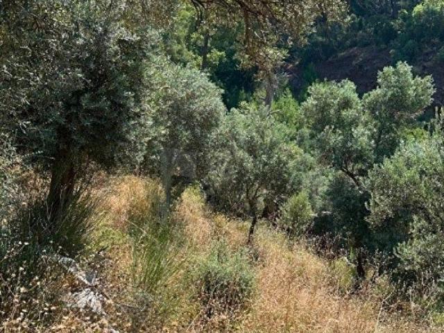 Köyceğiz, Muğla içerisinde satılık Arsa
