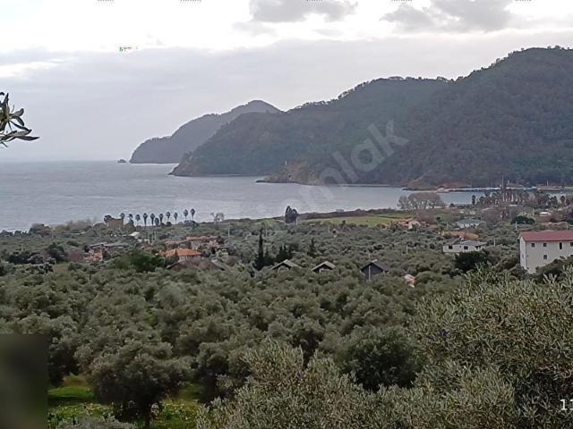 Köyceğiz, Muğla içerisinde satılık Arsa