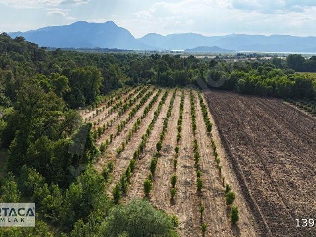Ortaca, Muğla içerisinde satılık Arsa