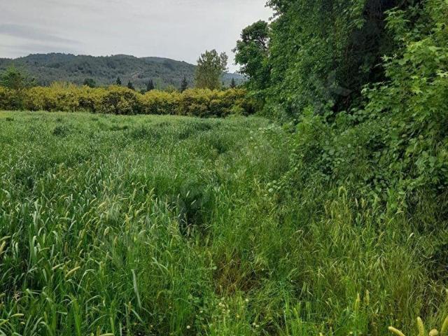Köyceğiz, Muğla içerisinde satılık Arsa