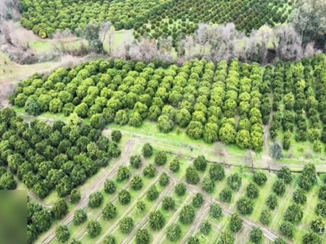 Köyceğiz, Muğla içerisinde satılık Arsa