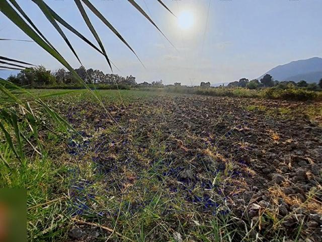 Köyceğiz, Muğla içerisinde satılık Arsa