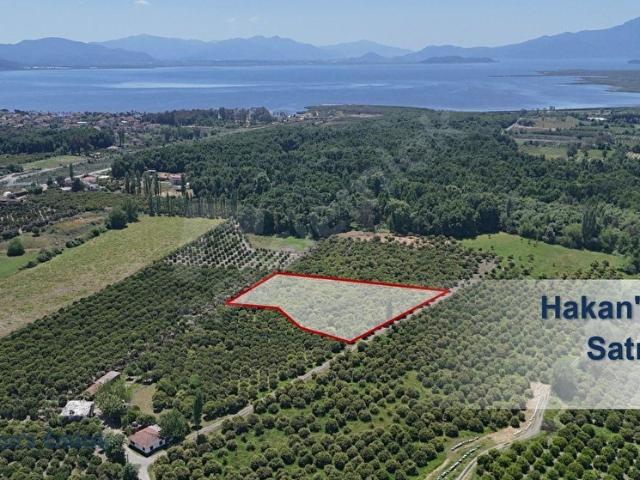 Köyceğiz, Muğla içerisinde satılık mülk