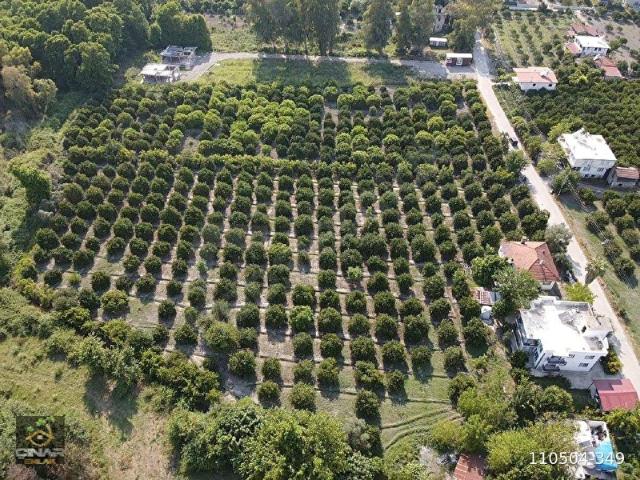 Köyceğiz, Muğla içerisinde satılık Arsa