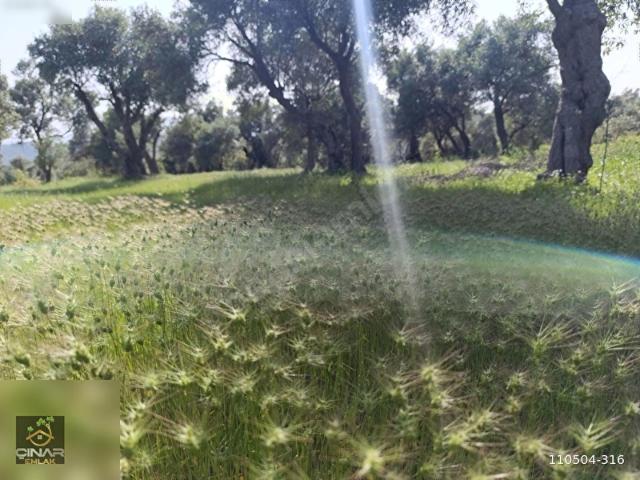 Köyceğiz, Muğla içerisinde satılık Arsa