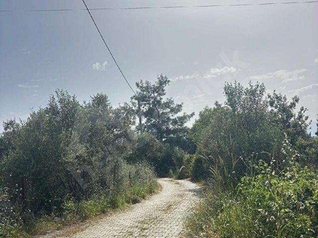 Köyceğiz, Muğla içerisinde satılık Arsa