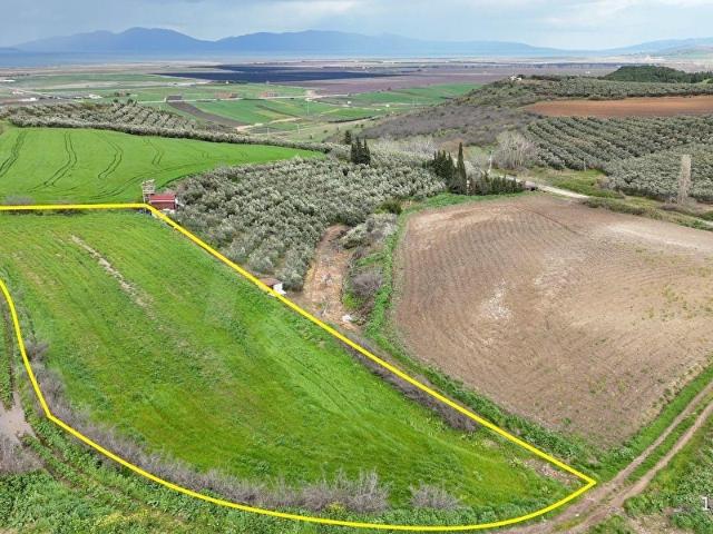 Çifteçeşmeler Mahallesi, Gönen içerisinde satılık Arsa