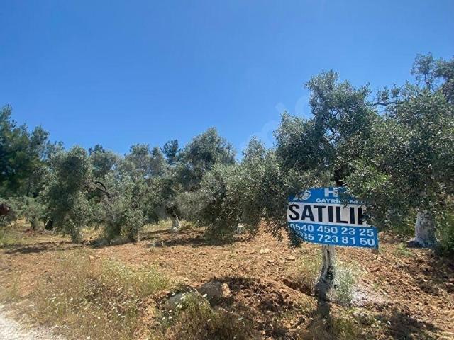 Torbali, İzmir içerisinde satılık mülk