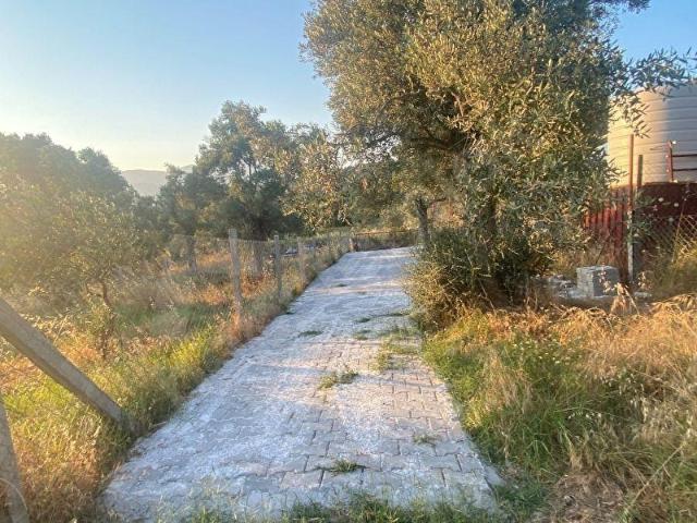 Torbali, İzmir içerisinde satılık mülk