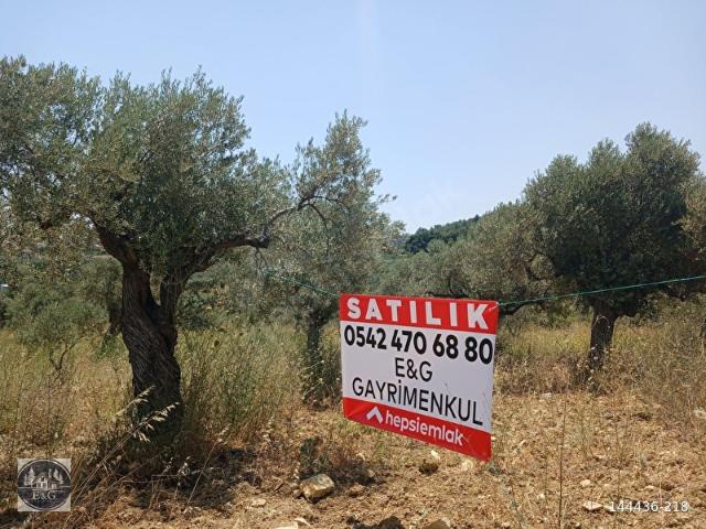 Torbali, İzmir içerisinde satılık Arsa