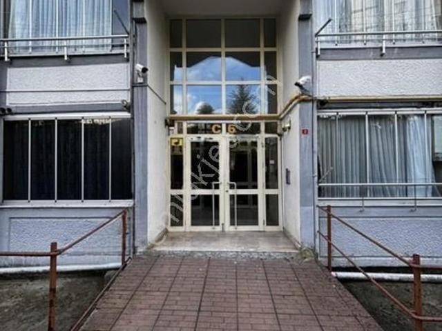 Dallıca, Bartın Merkez içerisinde kiralık mülk