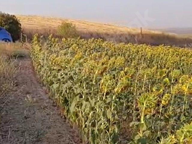 Kırklareli Merkez, Kirklareli içerisinde satılık Arsa