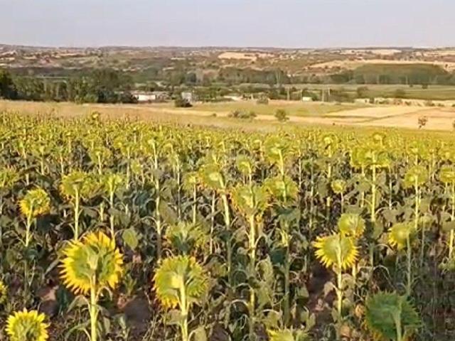 Kırklareli Merkez, Kirklareli içerisinde satılık mülk