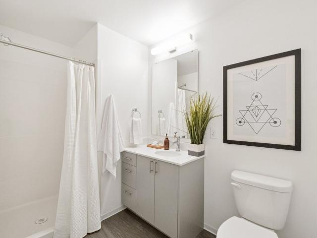 Apartment for rent in Uptown, Seattle