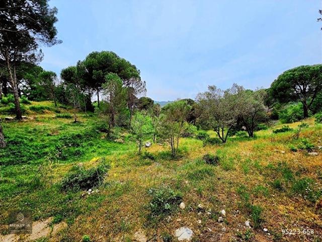 Ayvalik, Balikesir içerisinde satılık mülk