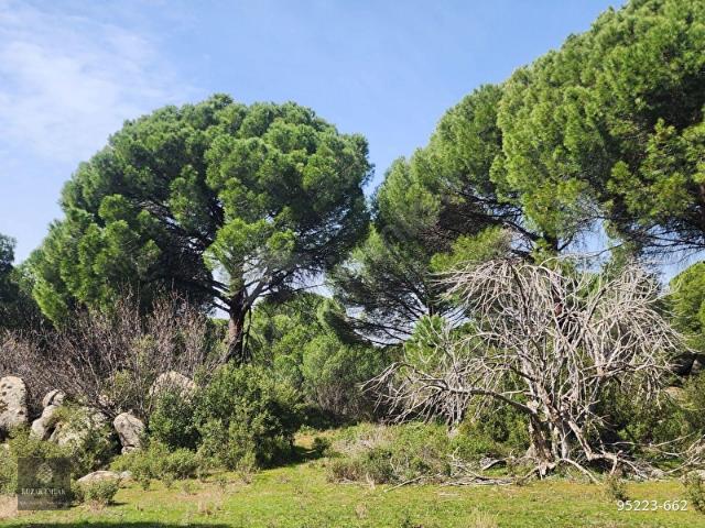 Bergama, İzmir içerisinde satılık Arsa