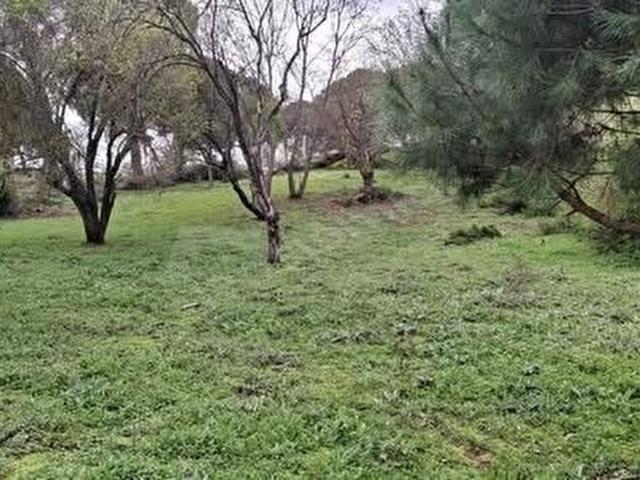 Bergama, İzmir içerisinde satılık mülk
