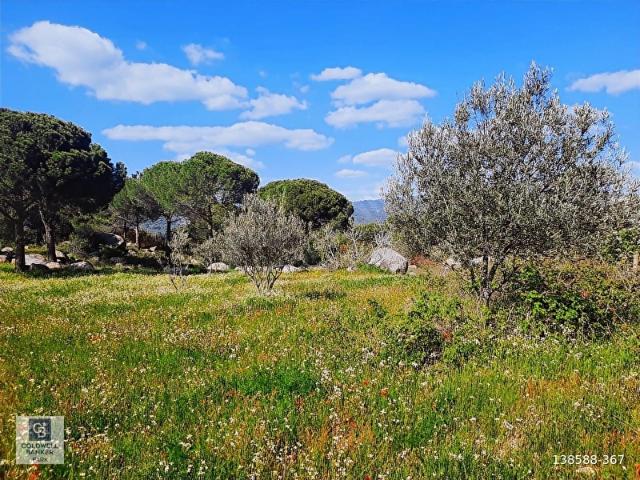 Bergama, İzmir içerisinde satılık mülk