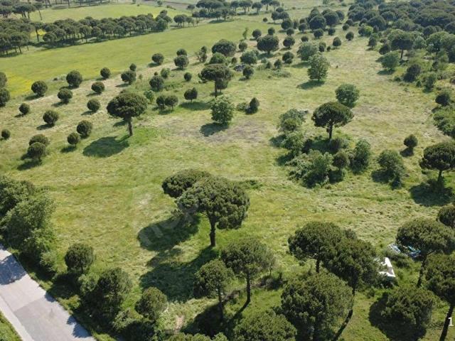 Bergama, İzmir içerisinde satılık Arsa