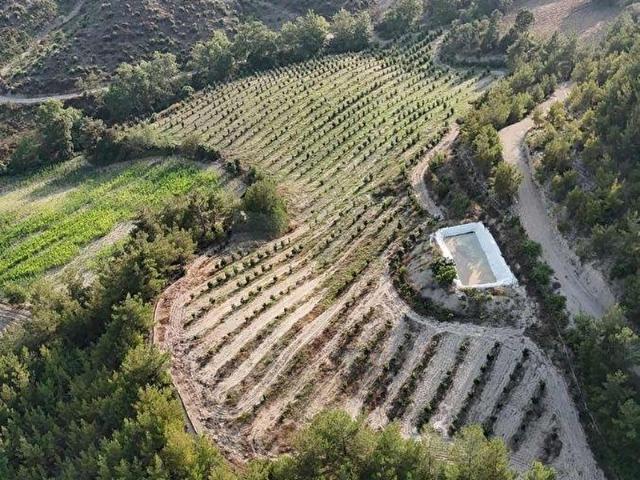 Kozan, Adana içerisinde satılık mülk